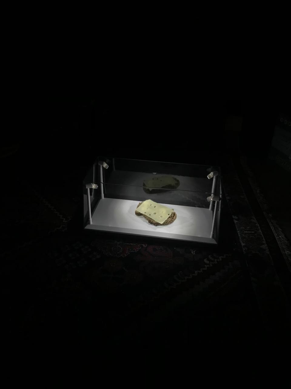in einem schwarzen Raum steht eine gläserne von vier Lämpchen beleuchtete Box, in der sich ein Käsebrot befindet