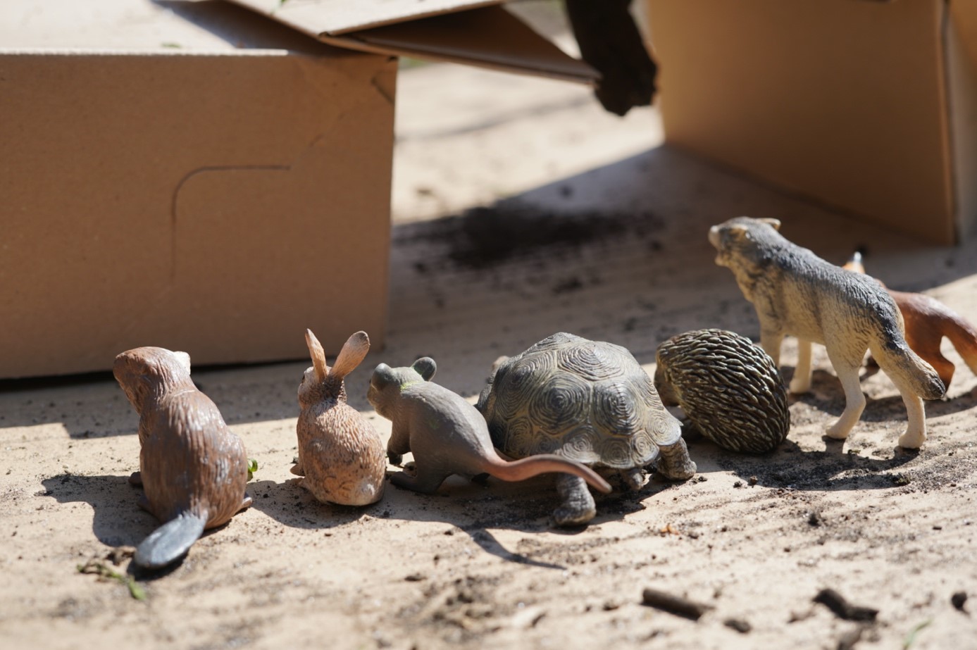 Ein Biber, ein Hase, eine Maus, eine Schildkröte, ein Igel, ein Wolf und ein Fuchs - kleine Waldtiere aus Hartgummi sitzen vor einer Brücke aus Kartons.