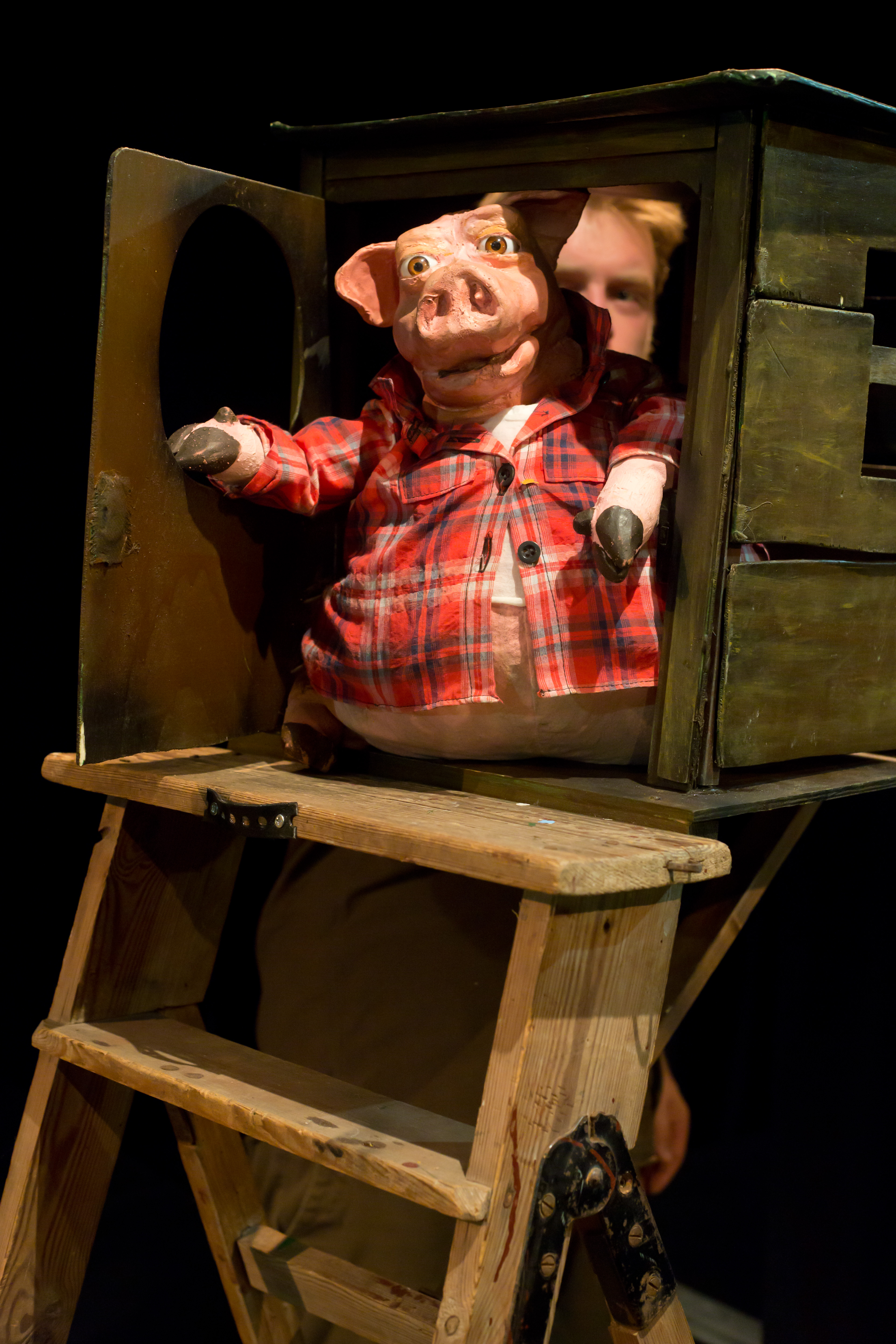 Eines der 3 kleinen Schweinchen schaut aus einem Holzhaus