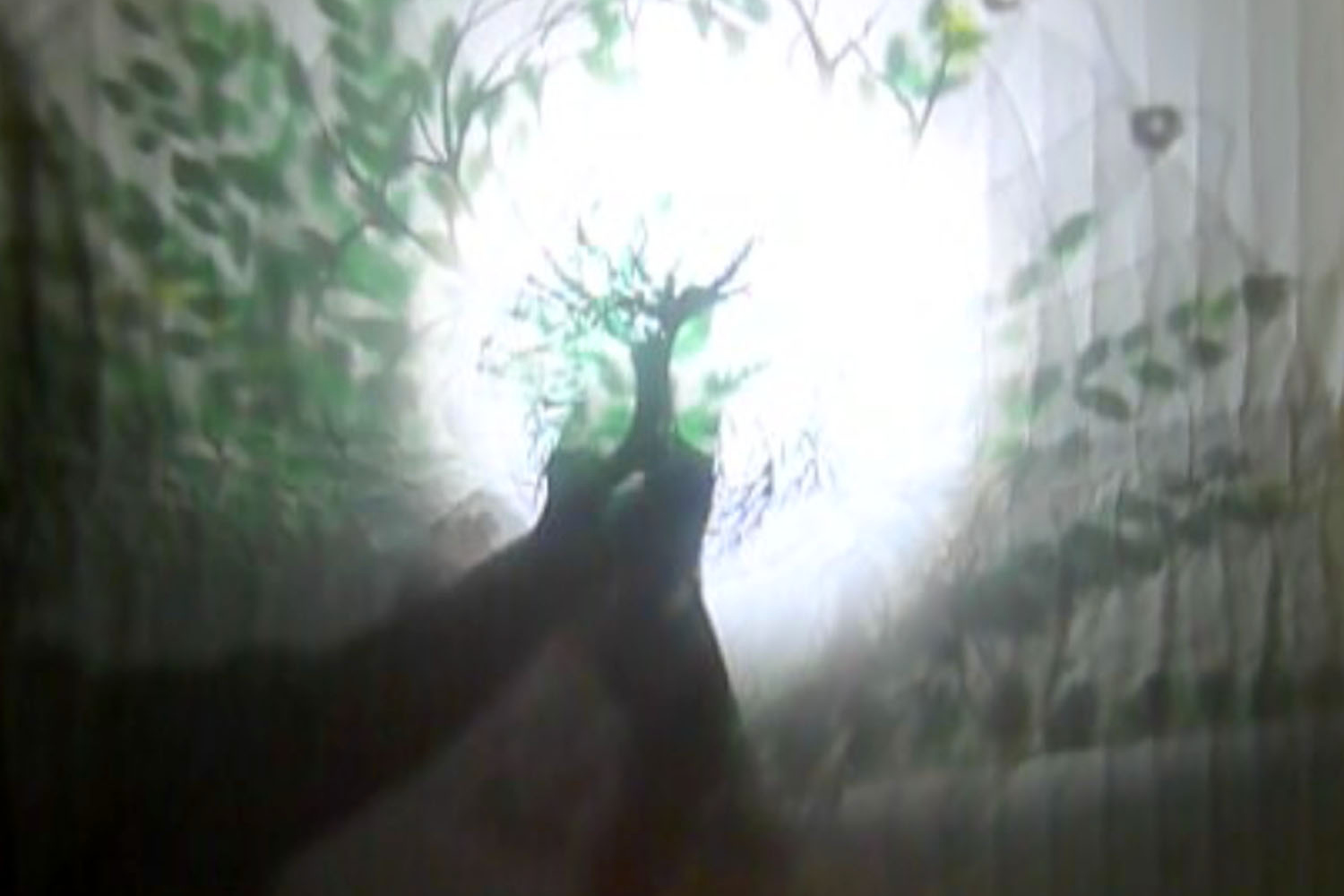 Auf einem weißen Stoff zeichnet sich im Zentrum des Bildes der schemenhafte Schatten eines kleinen Baumes ab, der von zwei Händen hochgehalten wird. Hinter dem Stoff befindet sich eine runde Lichtquelle.
