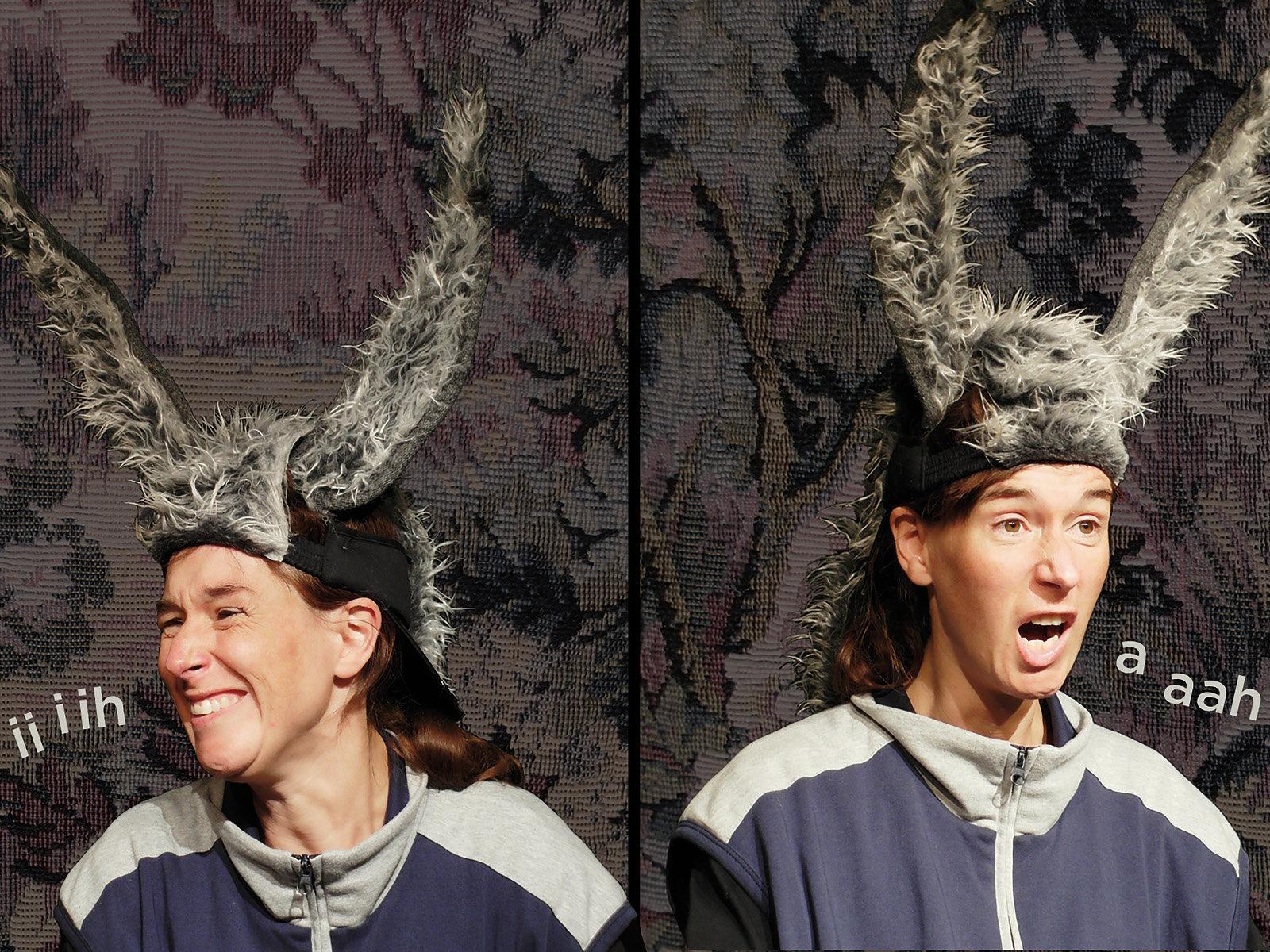 Eine digitale Collage aus zwei Fotografien zeigt einmal grinsend, einmal mit offenem Mund die Puppenspielerin Rike Schuberty mit falsch herum aufgezogener, flauschiger Eselohrkappe. Die Esellaute iiiiihhh und aaaaahh stehen neben den Fotos.