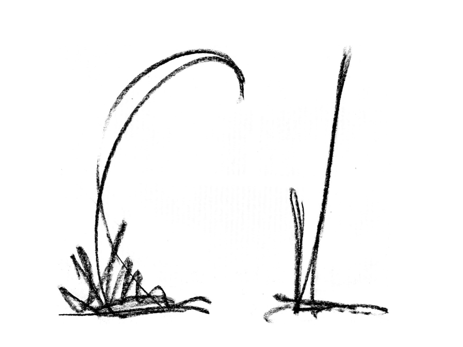 Zwei gezeichnete Striche, die wie Grashalme auf einer Wiese aussehen.