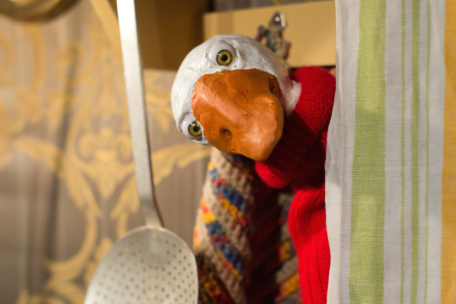 The head of the Christmas goose Auguste looks out from behind a striped forehand. She looks friendly to the camera and wears a red knitted sweater. A pasta strainer hangs in the background.