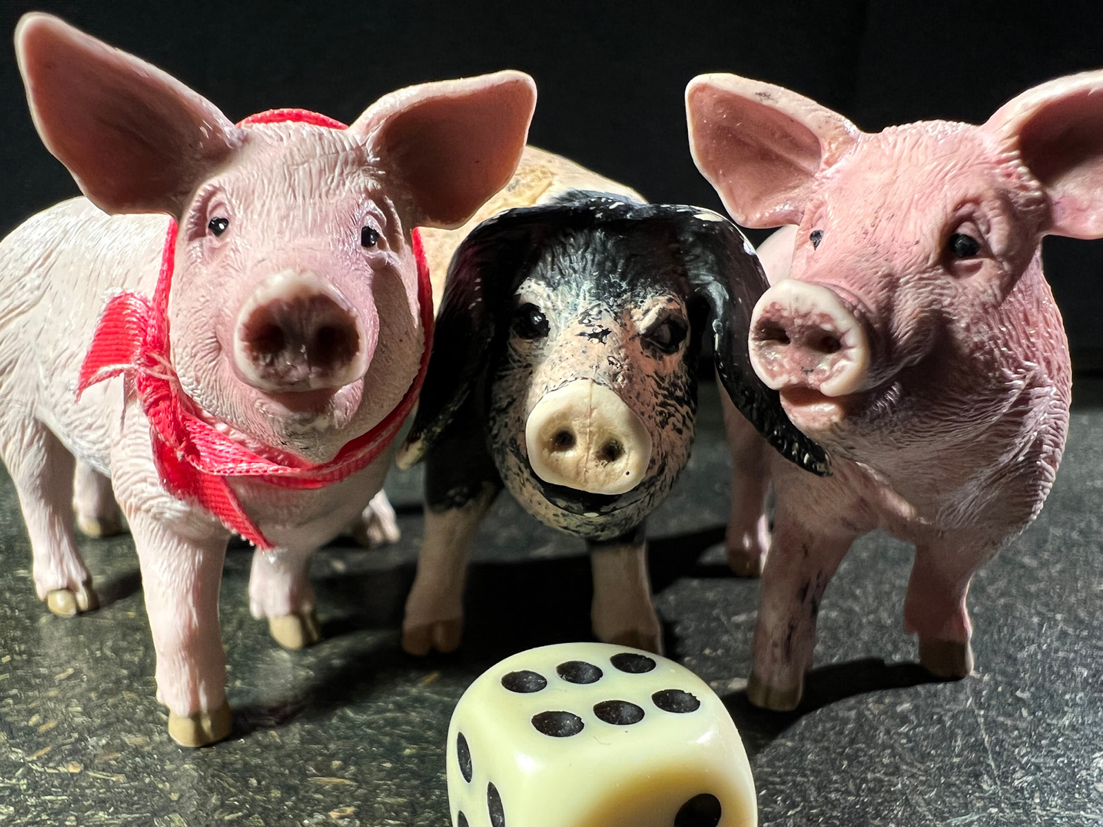 Die Figuren von drei Schweinchen, zwei rosa, eins braun mit Schlappohren schauen freundlich Richtung Kamera. Der Würfel vor ihnen zeigt die Zahl sechs.