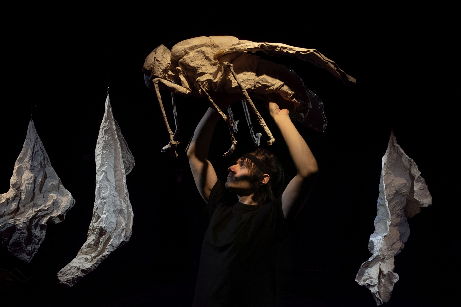 Performer hält überlebensgroßes Fliegenmodell aus einem papierähnlichen Material über seinen Kopf. Im Hintergrund sind drei weiße, von der Decke hängende Formen von ca. 1,5m Länge auf der Bühne erkennbar, die wie zusammengeknülltes und wieder auseinandergefaltete Papierbahnen wirken