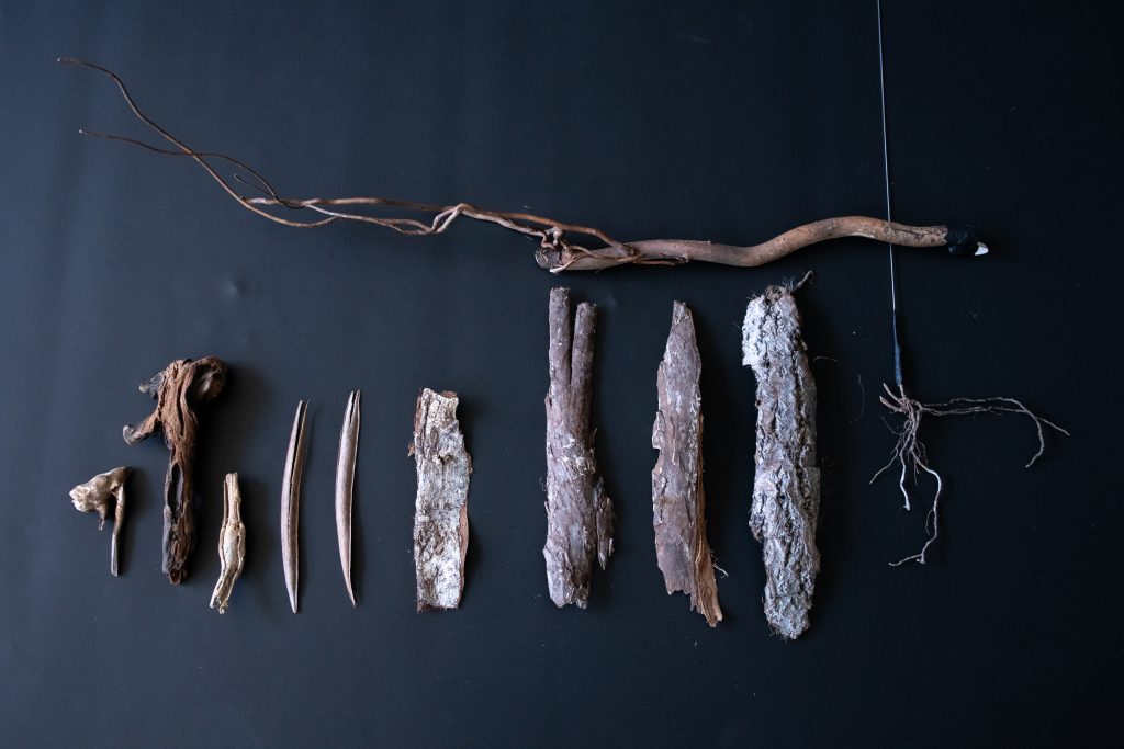 auf grauem Boden liegen in einer Linie angeordnet, verschiedene Hölzer und Rinde der Größe nach, oben Quaer liegt ein Ast, an dessen Ende ein Stück Kreide gebunden ist