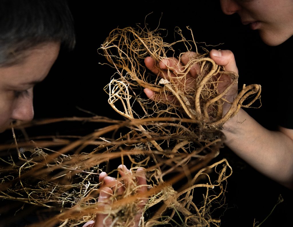 helle Wurzeln werden mit einer hand ins Bild gehalten, von rechts und links erahnt man zwei Gesichter, die sich im Geflecht verstecken