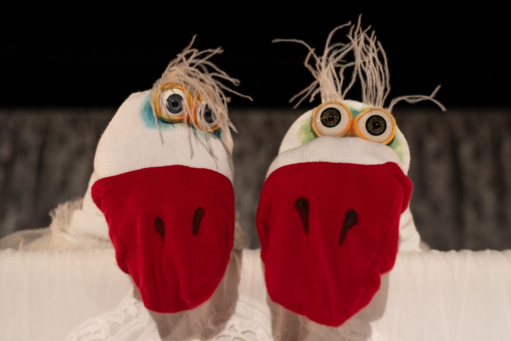 Zwei Vogelpuppen mit großen runden Augen, weißen Köpfen und roten Schnäbeln sind nebeneinander vor schwarzem Hintergrund angeordnet. Beide Figuren haben abstehende helle Federn auf dem Kopf und sind in einer Nahaufnahme dargestellt.