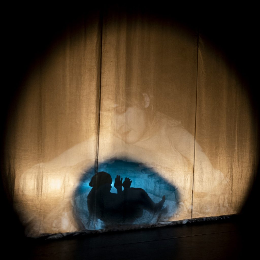 The image shows a projection of a female figure illuminated on a curtain. Where the woman’s abdomen would be, a human figure is visible in an embryonic position, its shadow illuminated by blue light.