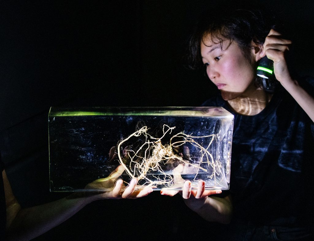 Ein dunkles Bild mit einer menschlichen Figur, die ein durchsichtiges rechteckiges Glasobjekt hält. Mit einer Taschenlampe beleuchtet die Person den Inhalt des Glasobjekts. Das sind kleine Wurzeln.