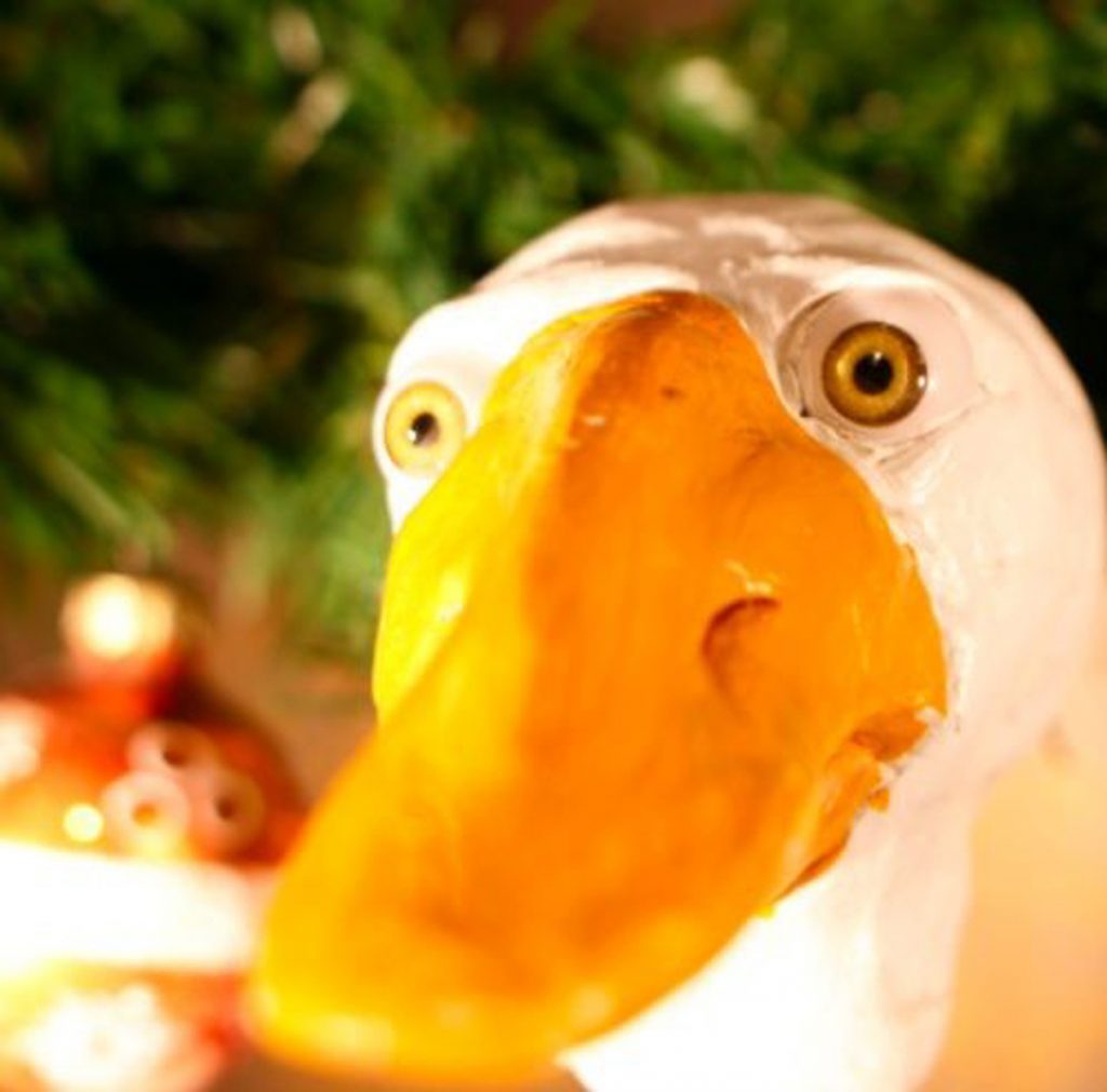 Close-up of a white bird with a large orange beak. The head and beak fill most of the image, while blurred green foliage and bright points of light appear in the background.